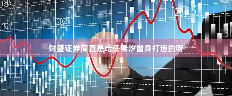 财盛证券简直是给任素汐量身打造的呀