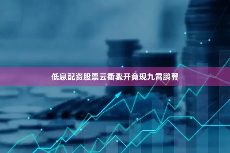 低息配资股票云衢骤开竟现九霄鹏翼