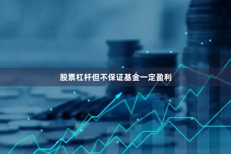 股票杠杆但不保证基金一定盈利