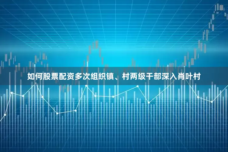 如何股票配资多次组织镇、村两级干部深入肖叶村