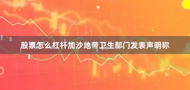 股票怎么杠杆加沙地带卫生部门发表声明称