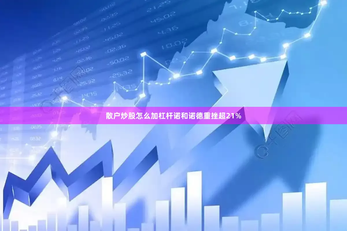 散户炒股怎么加杠杆诺和诺德重挫超21%