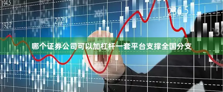 哪个证券公司可以加杠杆一套平台支撑全国分支