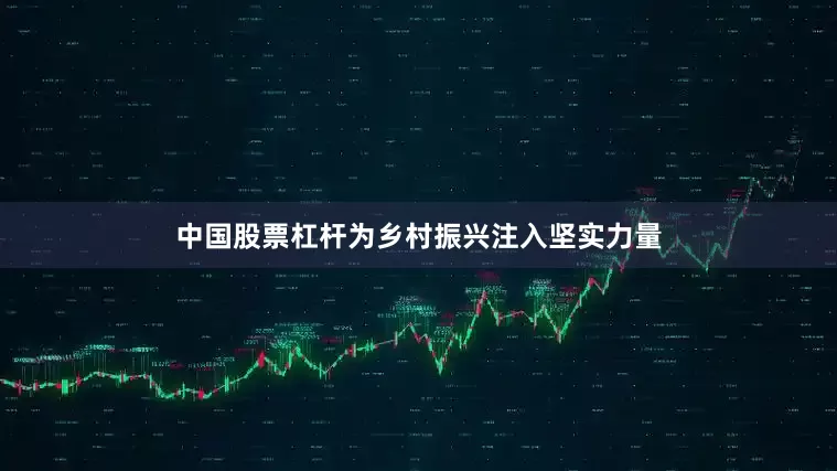 中国股票杠杆为乡村振兴注入坚实力量
