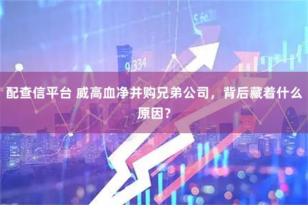 配查信平台 威高血净并购兄弟公司，背后藏着什么原因？